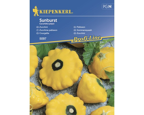 KIEPENKERL Courgette sunburst