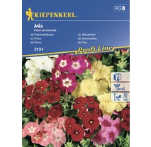 Kiepenkerl Vlambloem Phlox drummondii zadenpakket