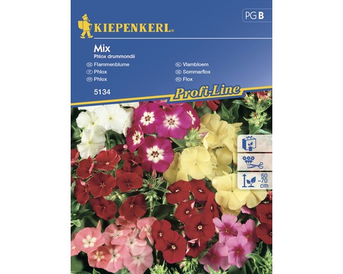 Kiepenkerl Vlambloem Phlox drummondii zadenpakket