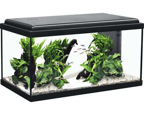AQUATLANTIS Aquarium Advance LED zwart 54 L, 60x30x34 cm