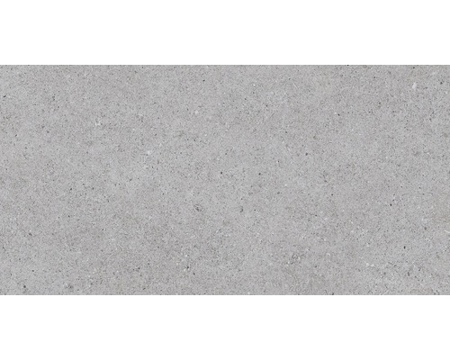 Wand- en Vloertegel Sassi grijs 32x62,5 cm