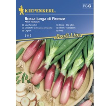 KIEPENKERL Bosuitjes rossa lunga di firenze