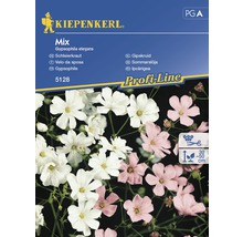 Kiepenkerl Gipskruid Mix zadenpakket