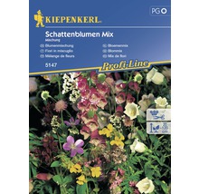 Zaadverpakking Schaduwbloemen Mix van Kiepenkerl