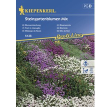 Kiepenkerl Steentuinbloemen Mix zaadpakket