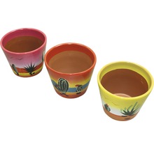 Drie bloempotten met cactusmotieven