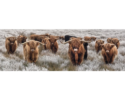 THE WALL Schilderij canvas Buffel kudde 150x50 cm