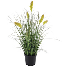 Decoratieve kunstplant met graspluimen in pot