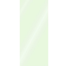SCHULTE Douche achterwand 255x100 cm lichtgroen