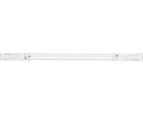 LED buis