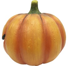 Decoratieve pompoen voor Halloween