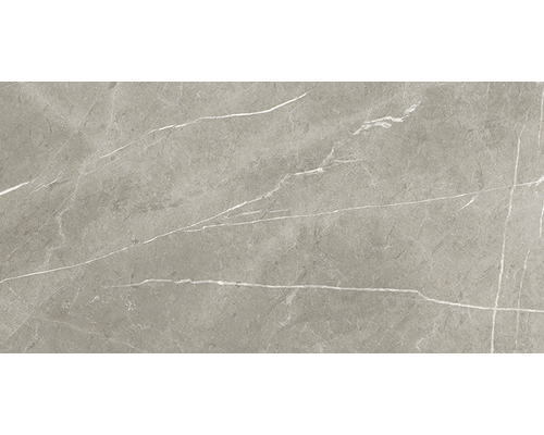Wand- en vloertegel Always Natural taupe 60x120 cm gerectificeerd Wand- en vloertegel Always Natural taupe 60x120 cm gerectificeerd