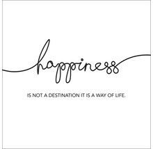 Decoratie met de tekst Happiness is not a destination it is a way of life