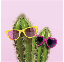 Twee cactussen met zonnebrillen