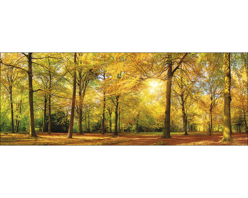 PURE LIVING Schilderij glas Sunshine In The Forest 30x80 cm