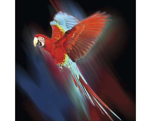 PURE LIVING Schilderij glas Red Parrot 30x30 cm