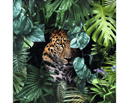 PURE LIVING Schilderij glas Jaguar In The Jungle 30x30 cm