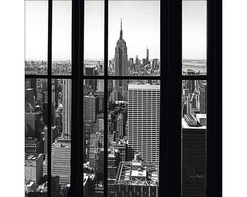 PURE LIVING Schilderij glas View Of Manhattan I 20x20 cm