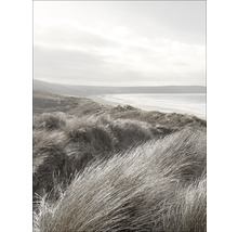 Foto van grasduinen nabij de zee