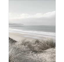 Illustratie van een strand met duinlandschap