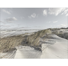 Duinlandschap met helmgras en zee