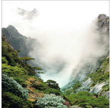 Landschap met bergen en mist