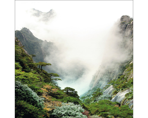 PURE LIVING Schilderij glas Foggy Mountain Forest I 30x30 cm