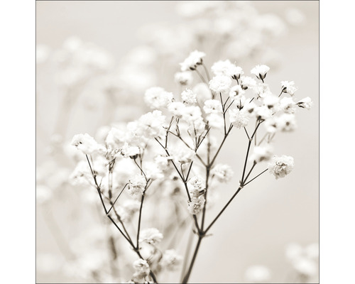 PURE LIVING Schilderij glas Meadow Flowers I 30x30 cm