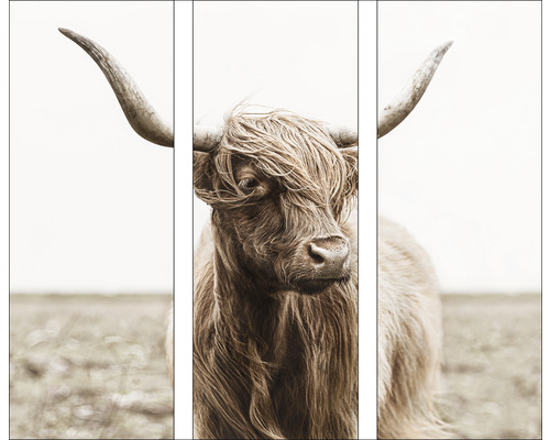 PURE LIVING Schilderij glas Highland Cattle VII 30x80 cm