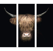 Meerluik schilderij van een Schotse Hooglander