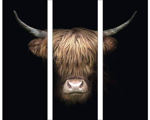 PURE LIVING Schilderij glas Highland Cattle VIII 30x80 cm