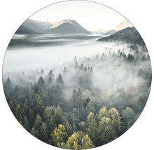 Natuurlandschap met bos en bergen in de mist