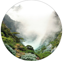 Bergen met vegetatie en mist