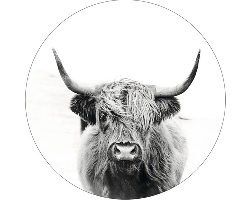 PURE LIVING Schilderij glas Highland Cattle III ø 20 cm
