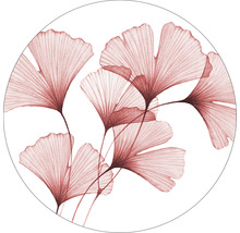 Illustratie van ginkgobladeren