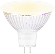 FLAIR LED lamp GU5.3/3,5W MR16 neutraalwit