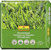 FloraSelf Graszaad voor bijzaaien, 240 gram voor circa 10 vierkante meter