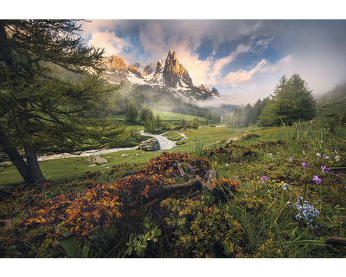KOMAR Fotobehang papier 8-133 Colours Imagine Edition 5 Morning walk 368x254 cm Landschap met rivier, bomen en bergen