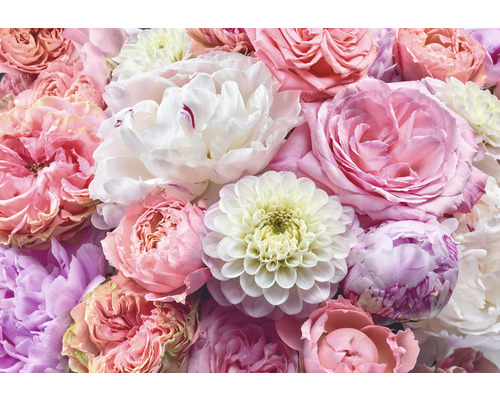 KOMAR Fotobehang papier 8-335 Colours Imagine Edition 5 Vibrant spring 368x254 cm Close-up van rozen, pioenen en dahlia''s