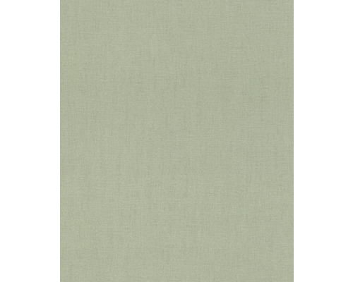 RASCH Vliesbehang 484588 Florentine III effen groen Stofmonster