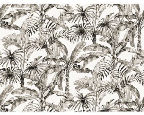 RASCH Fotobehang vlies 485806 Florentine III jungle grijs 400x300 cm Behang met palmmotief voor interieurs