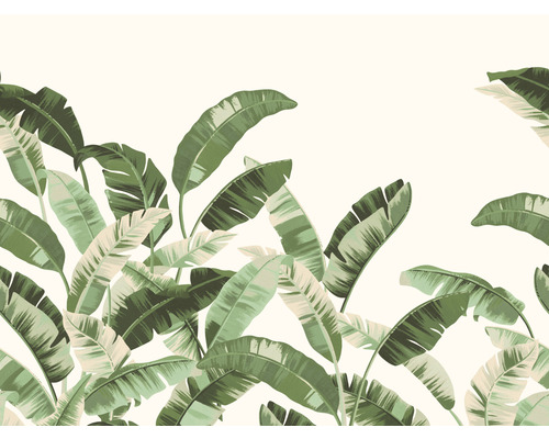 RASCH Fotobehang vlies 485929 Florentine III jungle groen 400x300 cm Decoratief behang met bananenbladmotief