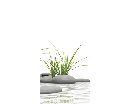 Decoratieve stenen en gras in water