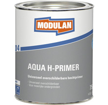 Modulan Aqua H Primer in verfblik