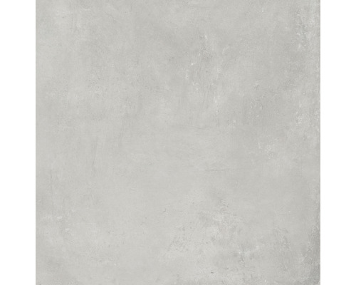 Wand- en vloertegel Cortina lichtgrijs 81x81 cm gerectificeerd Wand- en vloertegel Cortina lichtgrijs 81x81 cm gerectificeerd