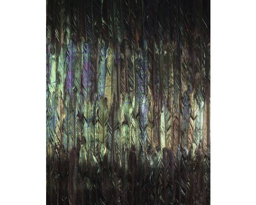 KOMAR Fotobehang vlies X4-1081 Colours Imagine Edition 5 Dark wings 200x250 cm Decoratieve veren als wandbekleding