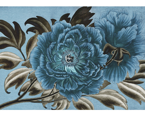 KOMAR Fotobehang vlies X7-1074 Colours Imagine Edition 5 Royal peony 350x250 cm Decoratief bloemmotief voor wanddecoratie