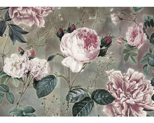 KOMAR Fotobehang vlies X7-1075 Colours Imagine Edition 5 Everlasting 350x250 cm Bloemenbehang met rozenmotief