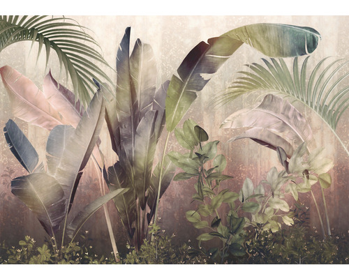KOMAR Fotobehang vlies X7-1079 Colours Imagine Edition 5 Rainforest mist 350x250 cm