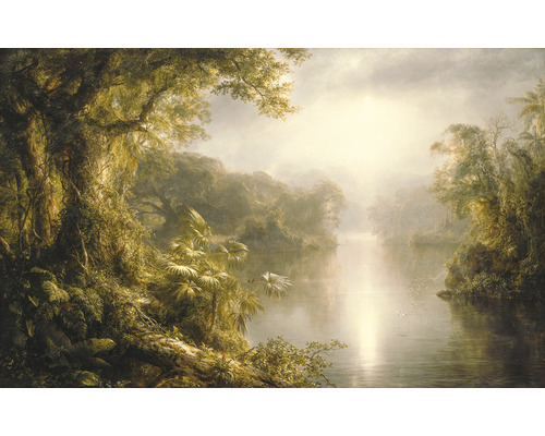 KOMAR Fotobehang vlies X8-1084 Colours Imagine Edition 5 Rio de luz 400x250 cm Schilderij van een tropisch landschap met weelderige vegetatie en een rustige rivier
